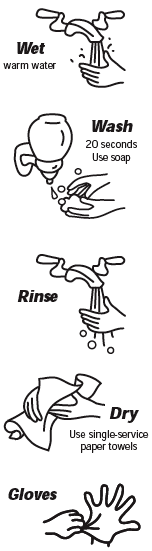employees handwashing: 5 steps