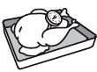 thermometer in roasting chicken